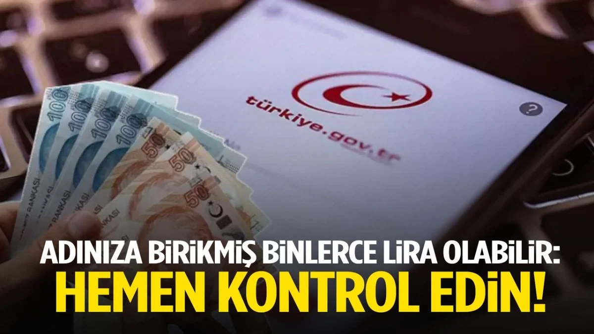 Binlerce Lira Hesabınızda Olabilir! e-Devlet’ten Sorgulama Başladı