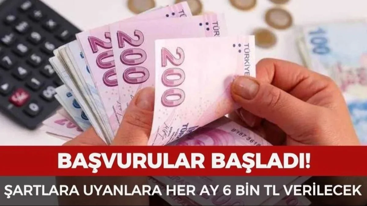 Devletten Aylık 6 Bin TL Destek! Başvurular Açıldı
